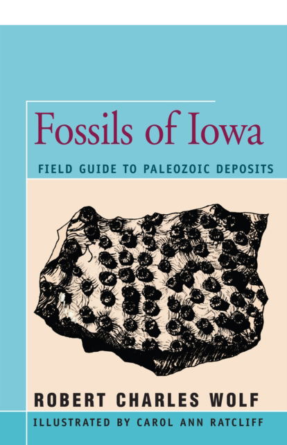 Cover for Robert Wolf · Fossils of Iowa: Field Guide to Paleozoic Deposits (Paperback Book) (2016)