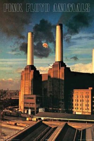 Pink Floyd - Animals - Wall Poster - Pink Floyd - Livros - Hal Leonard Corporation - 9781540007919 - 1 de setembro de 2015