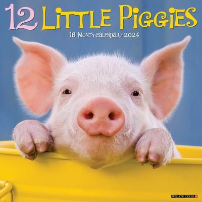 Cover for Willow Creek Press · 12 Little Piggies 2024 12 X 12 Wall Calendar (Kalender) (2023)