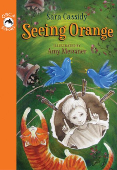 Cover for Sara Cassidy · Seeing Orange (Orca Echoes) (Paperback Book) (2012)