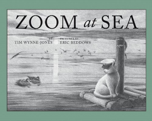 Cover for Tim Wynne-Jones · Zoom at Sea (Hardcover Book) [Second edition] (2013)