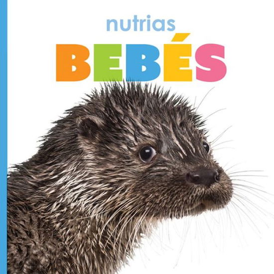 Cover for Kate Riggs · Nutrias Bebés (Book) (2021)