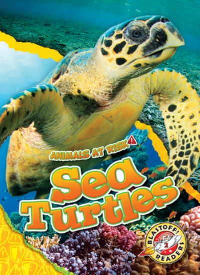 Sea Turtles - Rachel Grack - Books - Blastoff! Readers - 9781644875919 - 2022