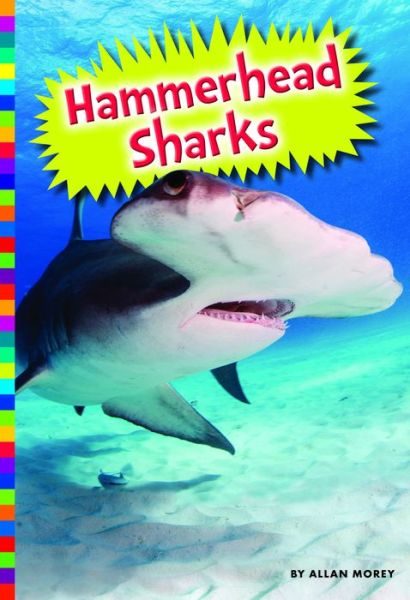 Cover for Allan Morey · Hammerhead Sharks (Book) (2016)