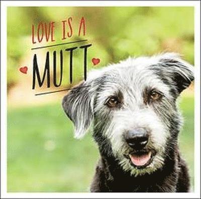 Cover for Charlie Ellis · Love is a Mutt: A Dog-Tastic Celebration of the World's Cutest Mixed and Cross Breeds (Hardcover Book) (2022)