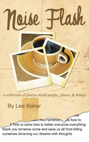 Noise Flash - Lee Baker - Books - Energion Publications - 9781893729919 - January 28, 2011