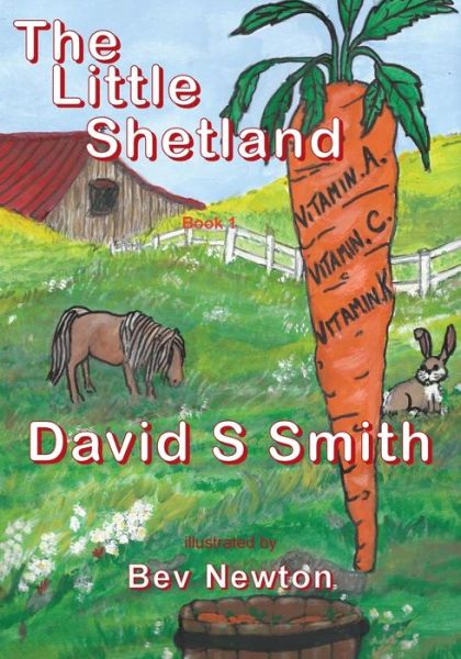 Cover for David S Smith · The Little Shetland; Book 1 (Pocketbok) (2017)