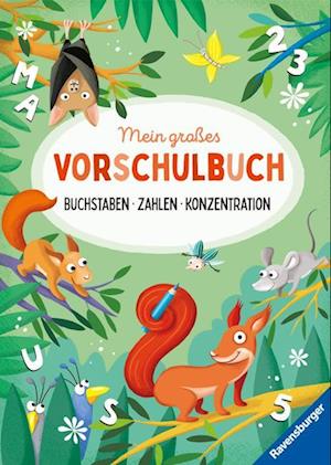 Cover for Kirstin Jebautzke · Mein GroÃŸes Vorschulbuch: Buchstaben Zahlen Konzentration (MERCH)