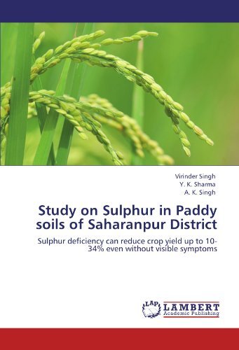 Cover for A. K. Singh · Study on Sulphur in Paddy Soils of Saharanpur District: Sulphur Deficiency Can Reduce Crop Yield Up to 10-34% Even Without Visible Symptoms (Pocketbok) (2012)