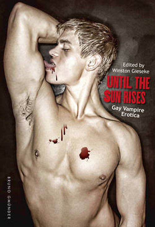 Cover for Winston Gieseke · Until the Sun Rises: Gay Vampire Erotica (Paperback Book) (2014)