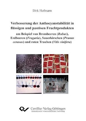 Cover for Dirk Hofmann · Verbesserungen der Anthocyanstabilität in flüssigen und pastösen Fruchtprodukten am Beispiel von Brombeeren (Rubus), Erdbeeren (Fragaria), Sauerkirschen (Prunus cerasus) und roten Trauben (Vitis vinifera) (Paperback Book) (2012)