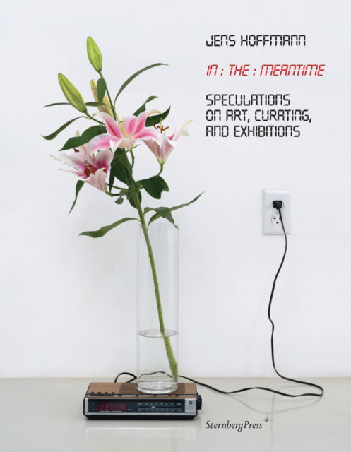 Cover for Jens Hoffmann · In the Meantime: Speculations on Art, Curating, and Exhibitions (Paperback Book) (2019)