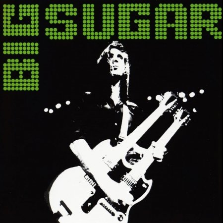 Cover for Big Sugar · Brothers &amp; Sisters Are You Ready (CD) (2001)