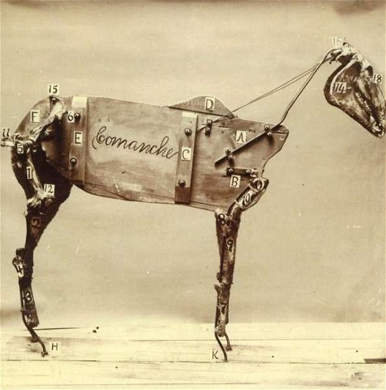 The Horse Comanche - Chadwick Stokes - Musik - ALTERNATIVE - 0067003104920 - 7. april 2017