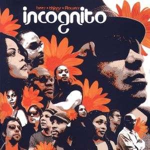Cover for Incognito · Bees Things Flowers (CD) (2006)