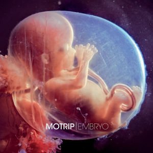 Embryo -download- - Motrip - Musik - URBAN - 0602527973920 - 2. marts 2012
