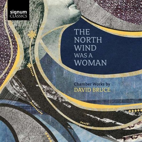 Cover for Nora Fischer / Avi Avital / Dover Quartet / Camerata Pacifica · David Bruce: The North Wind Was A Woman (CD) (2019)