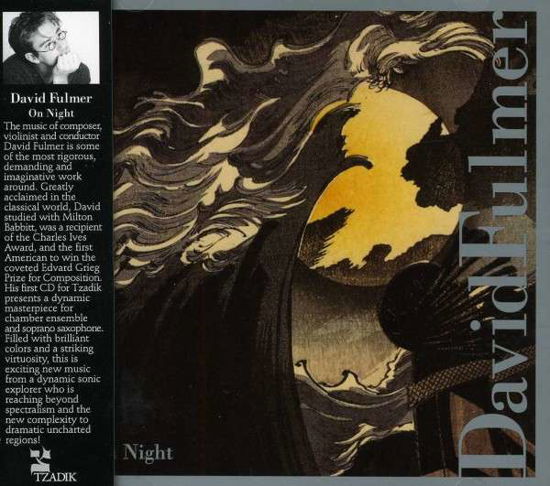 Cover for David Fulmer · On Night (CD) (2013)