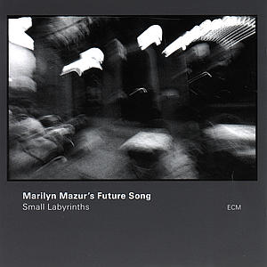 Mazur Marilyn · Small Labyrinths (CD) (1997)