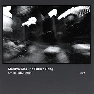 Cover for Mazur Marilyn · Small Labyrinths (CD) (1997)