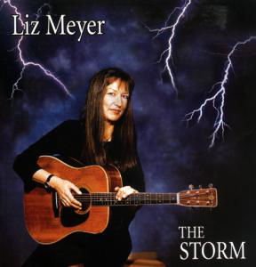 Liz Meyer · Storm Is Coming (CD) (2012)