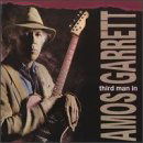 Third Man In - Amos Garrett - Music - STONY PLAIN - 0772532117920 - March 1, 2000