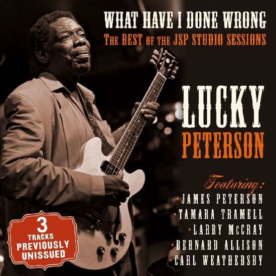 What Have I Done Wrong - The Best Of Jsp Sessions - Lucky Peterson - Musique - JSP - 0788065300920 - 22 mars 2022