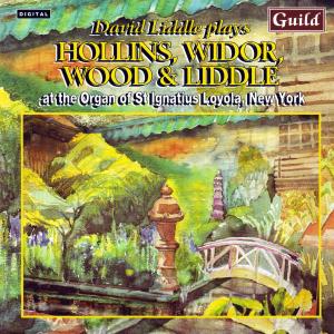 David Liddle Plays... - Hollins / Widor / Wood / Liddle - Musik - GUILD - 0795754714920 - 17. januar 2000