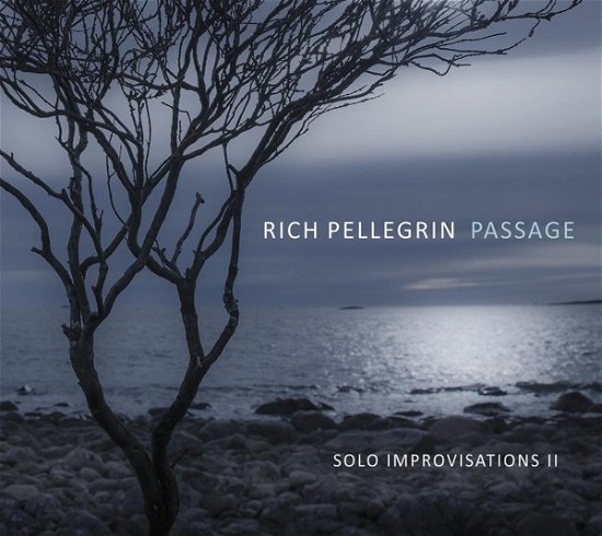 Cover for Rich Pellegrin · Passage: Solo Improvisations II (CD) (2022)
