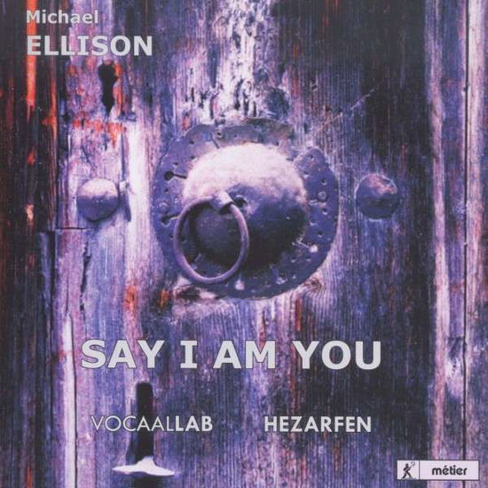 Cover for Visvocaallab · Ellinsonsay I Am You (CD) (2014)