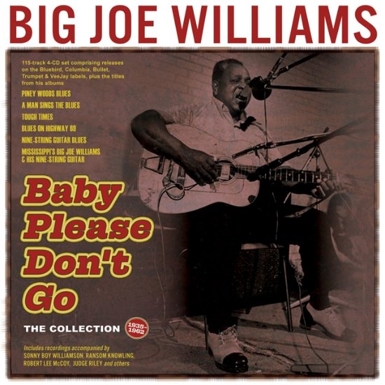 Baby Please Dont Go: The Collection 1935-62 - Big Joe Williams - Musik - ACROBAT - 0824046751920 - 12. januar 2024