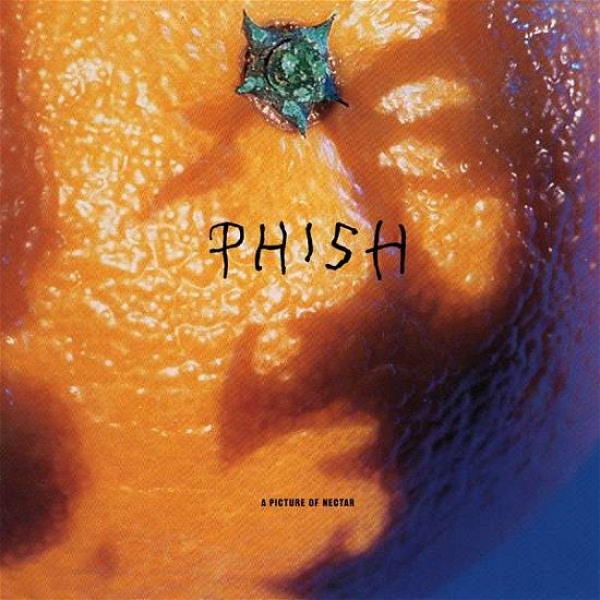 Cover for Phish · Picture of Nectar (LP) [180 gram, Deluxe edition] (2014)
