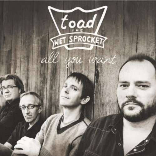 All You Want - Best of - Toad the Wet Sprocket - Musik - Abe's Records - 0880882173920 - 7. Mai 2011