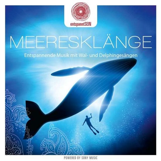 Cover for Davy Jones · Entspanntsein: Meeresklange (musik Mit Wal- Und Delphingesangen) (CD) (2016)