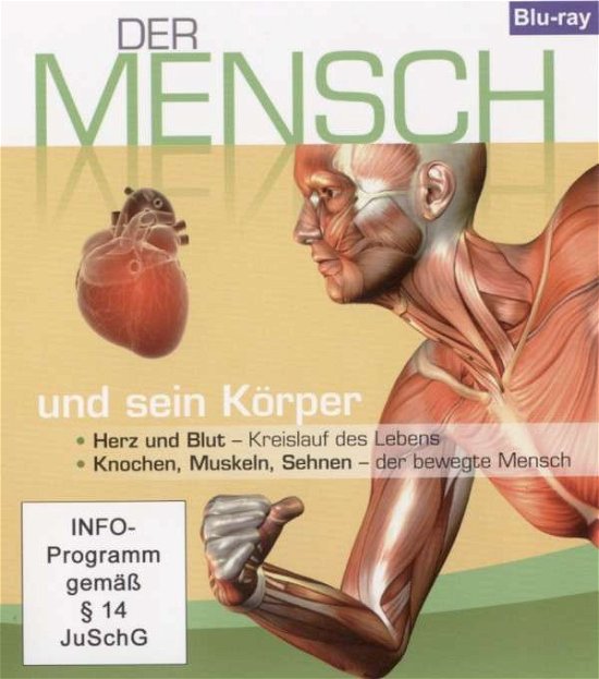 Der Mensch Und Sein Koerper · Herz Und Blut - Knochen - Musk (Blu-ray) (2024)