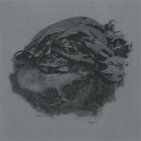 Cover for Bird by Snow · Offering (CD) [Japan Import edition] (2013)