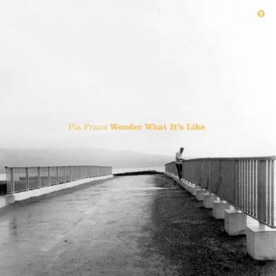 Wonder What It's Like - Pia Fraus - Muzyka - SEKSOUND - 4739852948920 - 5 maja 2017