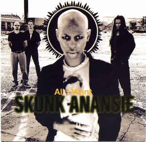 Cover for Skunk Anansie · Skunk Anansie-all I Want -1/4tr- (CD)