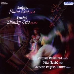 Cover for Brahms / Dvorak · Piano Trio 8 (CD) (2012)