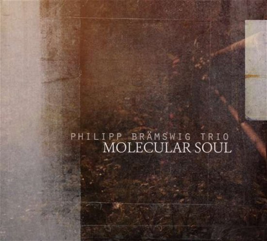Cover for Philipp Bramswig · Molecular Soul (CD) (2016)