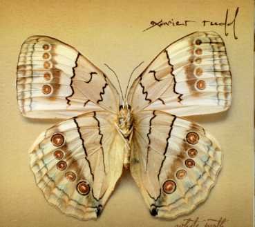 White Moth - Xavier Rudd - Musiikki - Epitaph - 8714092686920 - torstai 31. toukokuuta 2007