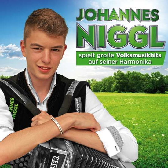 Cover for Johannes Niggl · Spielt Gro?e Volksmusikhits Au (CD) (2016)