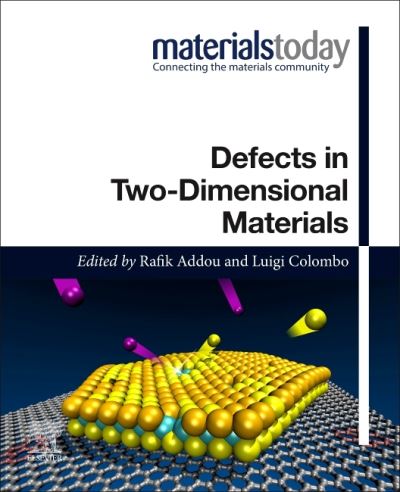 Cover for Rafik Addou · Defects in Two-Dimensional Materials - Materials Today (Taschenbuch) (2022)