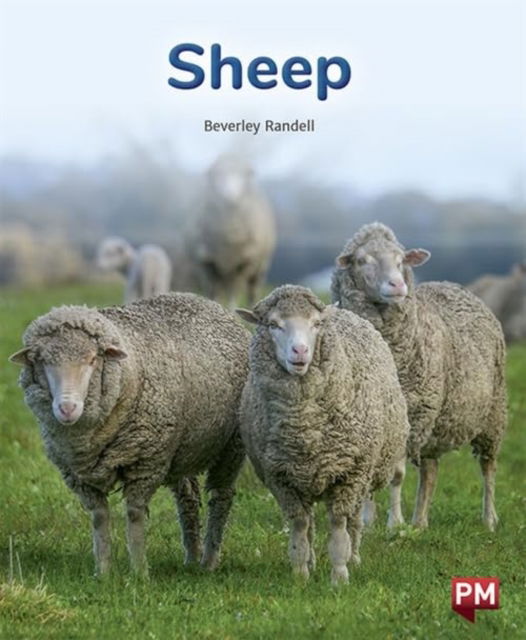 Sheep - Beverley Randell - Książki - SCHOLASTIC LTD - 9780170328920 - 