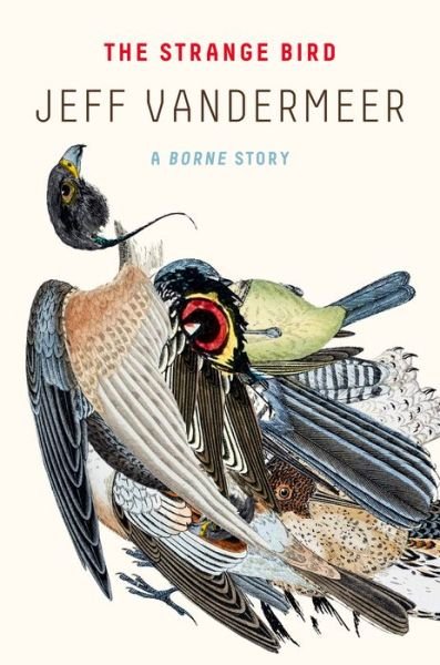 Cover for Jeff VanderMeer · The Strange Bird: A Borne Story (Paperback Bog) (2018)