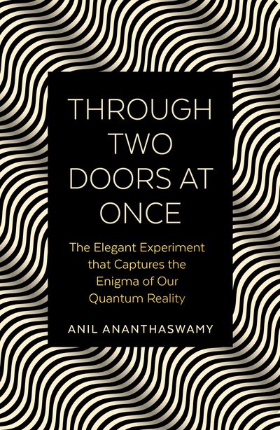 Cover for Anil Ananthaswamy · Through Two Doors at Once: The Enigmatic Story of our Quantum Reality (Paperback Book) (2020)