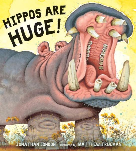 Cover for Jonathan London · Hippos Are Huge! (Inbunden Bok) (2015)