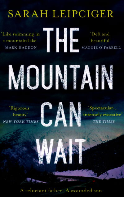 Cover for Sarah Leipciger · The Mountain Can Wait (Paperback Book) (2016)