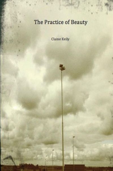 Cover for Claine Keily · The Practice of Beauty (Paperback Book) (2014)