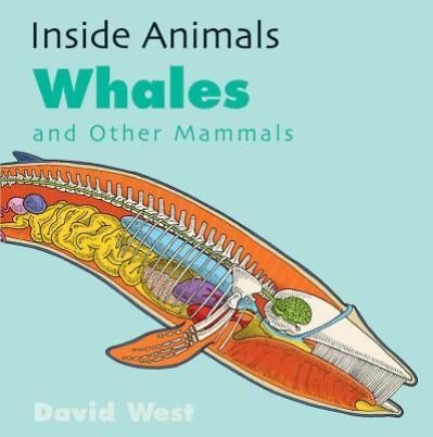 Cover for David West · Whales and other mammals (Book) (2017)